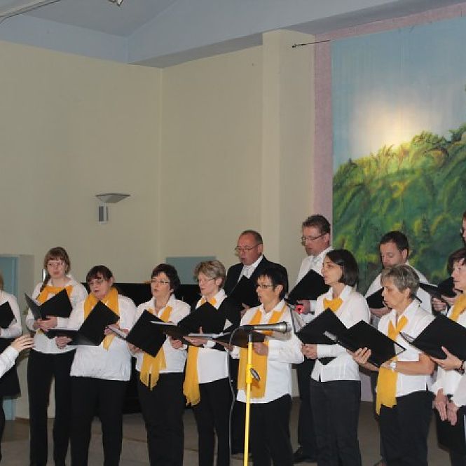 Schlagerchor Dittrichshütte 2015